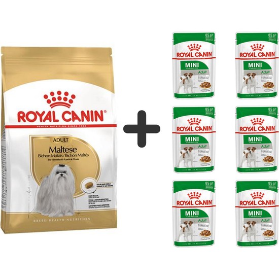 Royal Canin Maltese Bichon Yetişkin Köpek Maması 1,5 kg + 6 Fiyatı