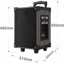 D-Sound Lt-910 3 Kanal Şarzlı+Bluetooh+2 Telsiz Mikrofonlu Saz Gitar Anfisi