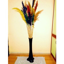 Onta Pampas 15 Adet Karışık Renk (100-125 Cm) ve Pampas Vazosu Siyah Renk 60 cm