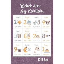 Neşeli Günlerim Bebek Aylık Fotoğraf Çekim Anı Kartı ( Art )