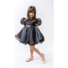 Miss Lily Tüllü Ve Saten Parti Ve Bayramlık Çocuk Abiyesi