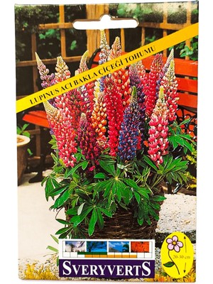 Lupinus Acı Bakla Çiçeği Tohumu