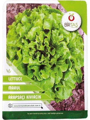 Marul (Arapsaçı) Tohumu
