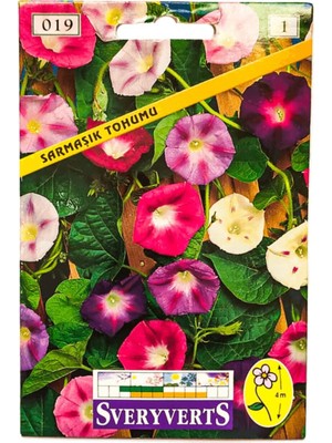 Çiçekli Sarmaşık Tohumu