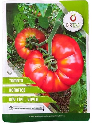 Domates Tohumu (Köy Tipi Yayla)