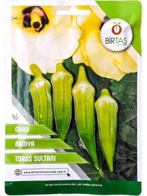 Bamya Tohumu