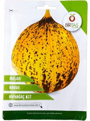 Kavun (Kırkağaç 637) Tohumu