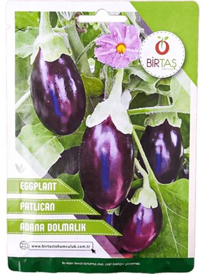 Dolmalık Patlıcan Tohumu