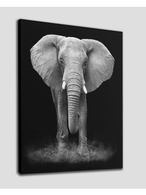 Dünyatablo Fil Dekoratif Kanvas Tablo 1183