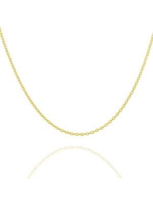 Takı Depo Forsa Model Gümüş Zincir 30 Mikron Kalınlık 55 - Altın Rengi