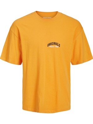 Jack & Jones Jorbrınk Studio Erkek Bisiklet Yaka Turuncu T-Shirt 12227718