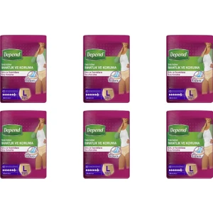 Hasta Bezi Emici Külot 10'lu Large 6 Paket 60 Adet