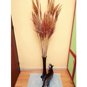 Vazo (Uzun Pampas Vazosu-Siyah) & Pampas Çiçekleri (20 Adet-Doğal Renk)