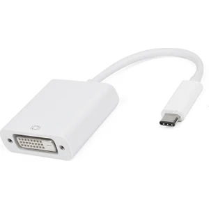 5239 Type C To DVI 24+5 Çevirici Dönüştürücü Adaptör