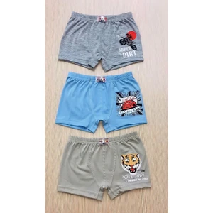 Yar Butik 3 Adet Erkek Çocuk Baskılı Baxer Külot