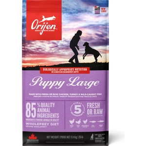 Puppy Large Breed Büyük Irk Yavru Köpek Maması 11,4 kg