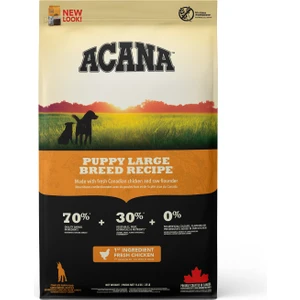 Puppy Large Büyük Irk Köpek Maması 11,4 Kg