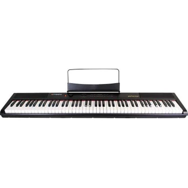 Artesia performer deals sleek 88