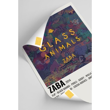 DuoArt Glass Animals Zaba Albüm Kapağı Info Card Bilgi Kartı Fiyatı