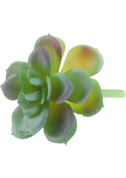 Ev Bahçesi Minyatür Succulents Bitki 3 Pc (Yurt Dışından)