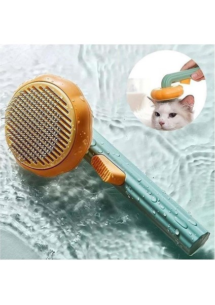 Pet Brush Kedi ve Küçük Irk Köpek Tüy Fırçası Bal Kabağı Tarak