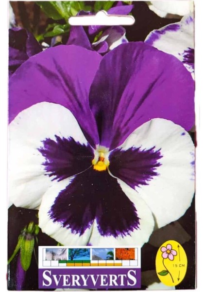 Mor - Beyaz Menekşe Çiçeği Tohumu