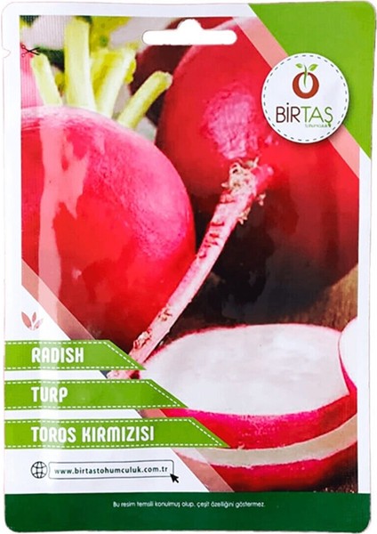 Turp Tohumu Kırmızı