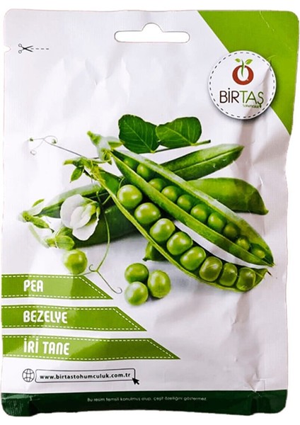 Bezelye Tohumu Iri Tane