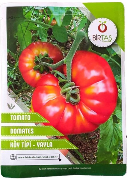 Domates Tohumu (Köy Tipi Yayla)
