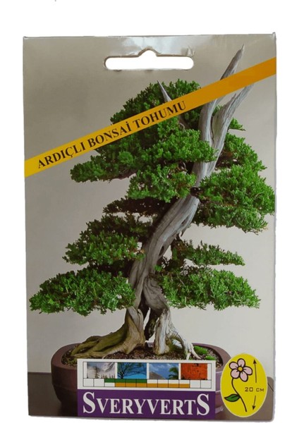 Ardıçlı Bonsai Çiçeği Tohumu