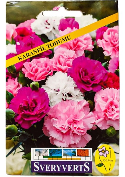 Karanfil Çiçeği Tohumu