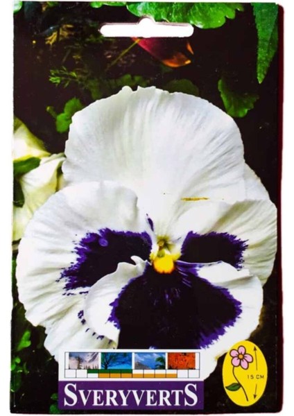 Beyaz Menekşe Çiçeği Tohumu