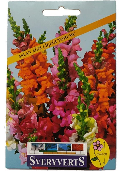Aslanağzı Çiçeği Tohumu