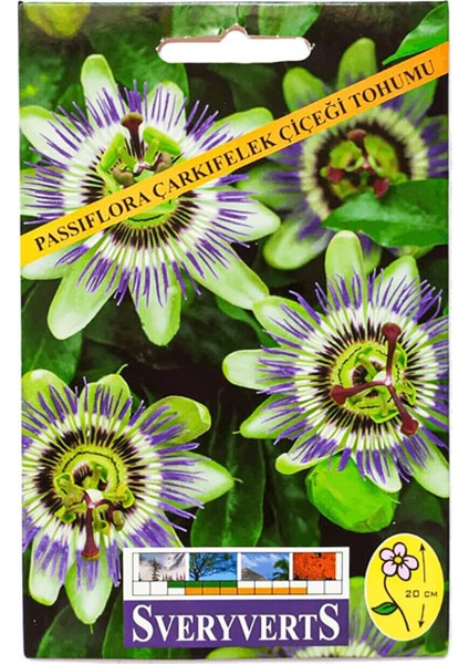 Passiflora Çarkıfelek Çiçeği Tohumu