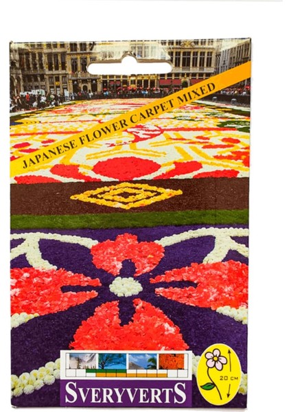 Japanese Flower Carpet Mixed Çiçeği Tohumu