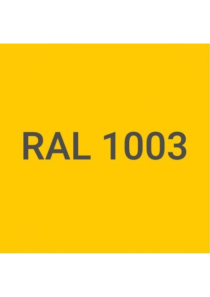 4200 Epoksi Boya 15 Kg+3 kg Ral 1003 Taksi Sarı