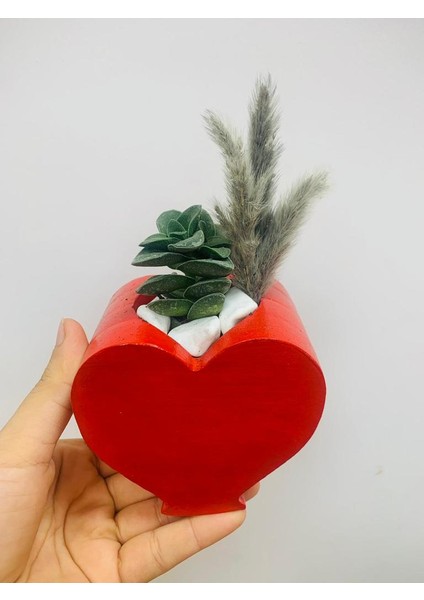 Kalp Saksı