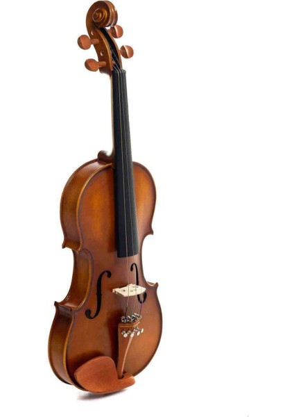 MA-155 15,5' Masif Viola