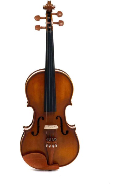 MA-155 15,5' Masif Viola