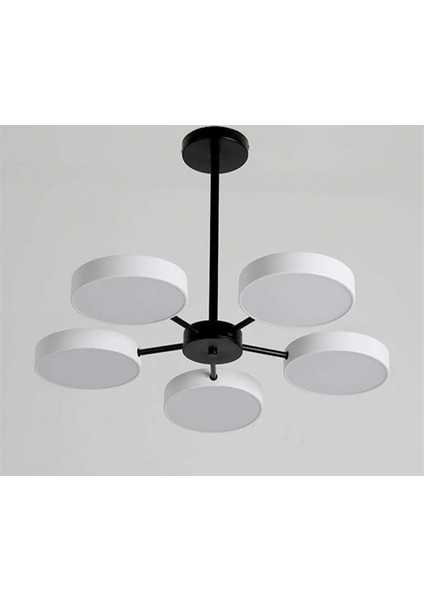 LED Conga Avize