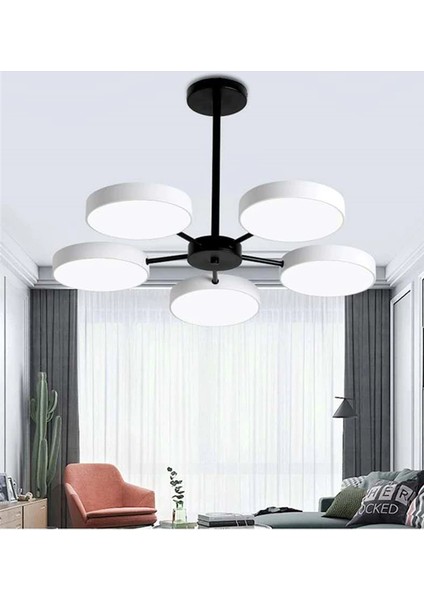 LED Conga Avize