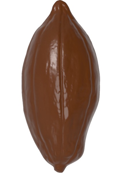 Çikolata Kalıbı