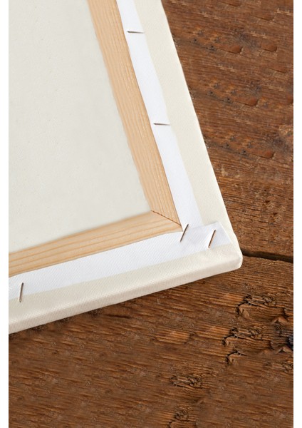 Dünya Haritası Ülke Bayraklı ve Başkentli Kanvas Tablo 1951 indirimleri