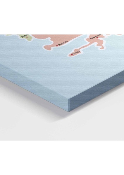 Türkiye Haritası Kanvas Tablo Il ve Ilçeli Ayrıntılı Eğitici-Öğretici Komşulu Dekoratif Tablo 3017 fırsatları