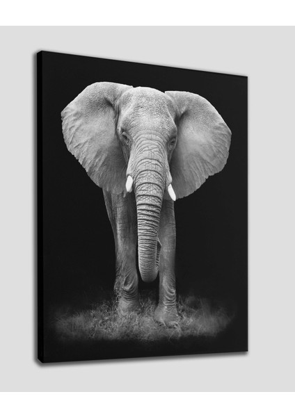 Fil Dekoratif Kanvas Tablo 1183