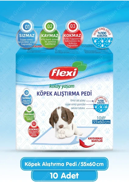 Köpek Alıştırma Pedi 10'lu