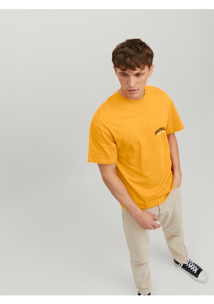 Jorbrınk Studio Erkek Bisiklet Yaka Turuncu T-Shirt 12227718 modelleri