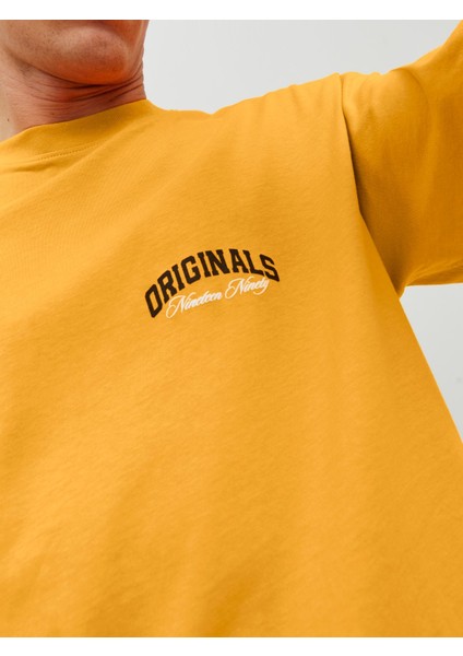 Jorbrınk Studio Erkek Bisiklet Yaka Turuncu T-Shirt 12227718 fırsatları