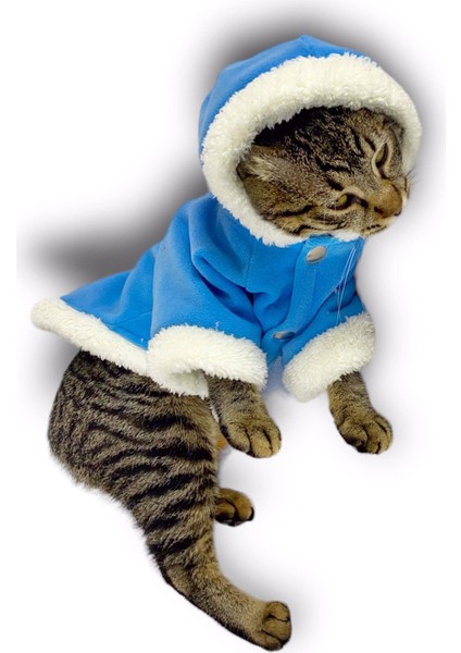 Blue Furry Kapşonlu Sweatshirt Ceket Kedi Süeteri Kıyafeti