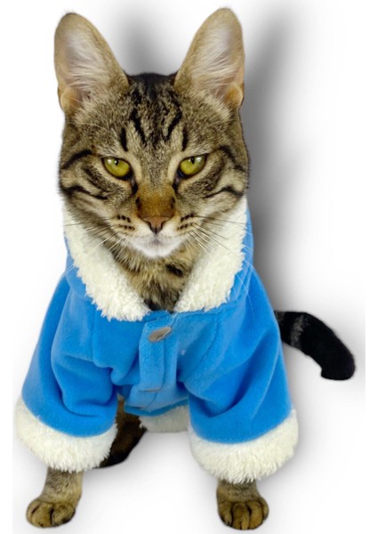 Blue Furry Kapşonlu Sweatshirt Ceket Kedi Süeteri Kıyafeti